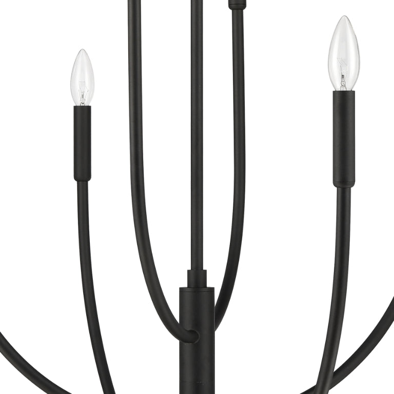 CONTINUANCE 36'' WIDE 8-LIGHT CHANDELIER - FREE SHIPPING !!!