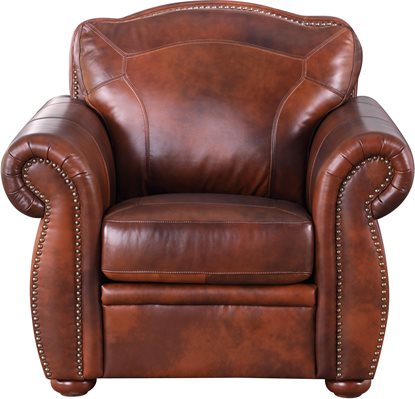 Leather Italia - Arizona Chair in Marco
