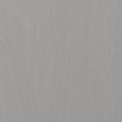 Ashley Express - Cottonburg Panel Bed