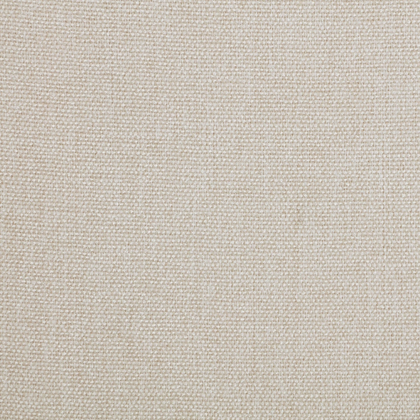Trofello Cushioned Dining Side Chair White Washed (Set of 2)