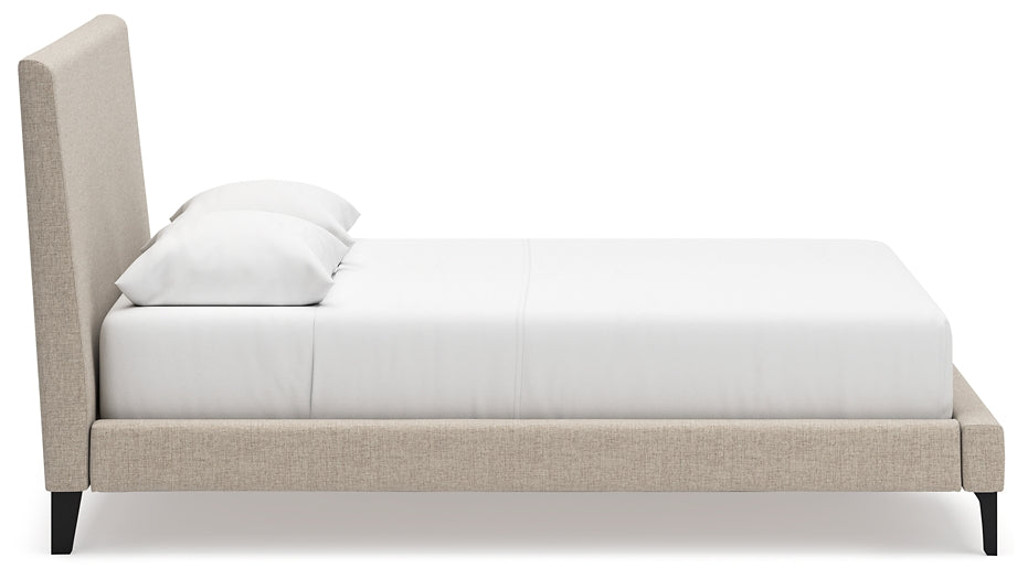 Cielden Uph Bed W/Roll Slats