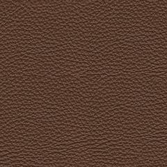 VonRyan PWR Recliner/ADJ Headrest