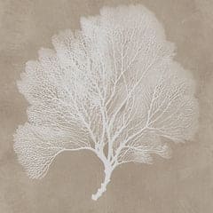 Ashley Express - Hendridge Wall Art Set (3/CN)