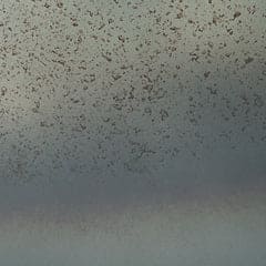 Ashley Express - Pennmore Vase