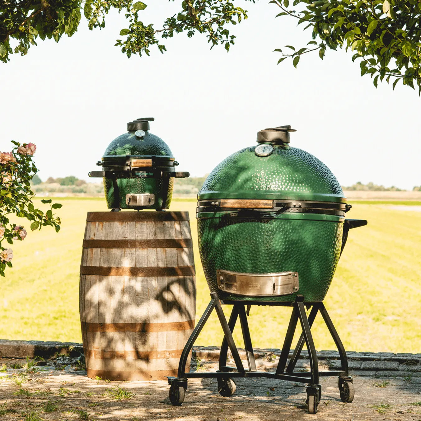 MiniMax Big Green Egg Package