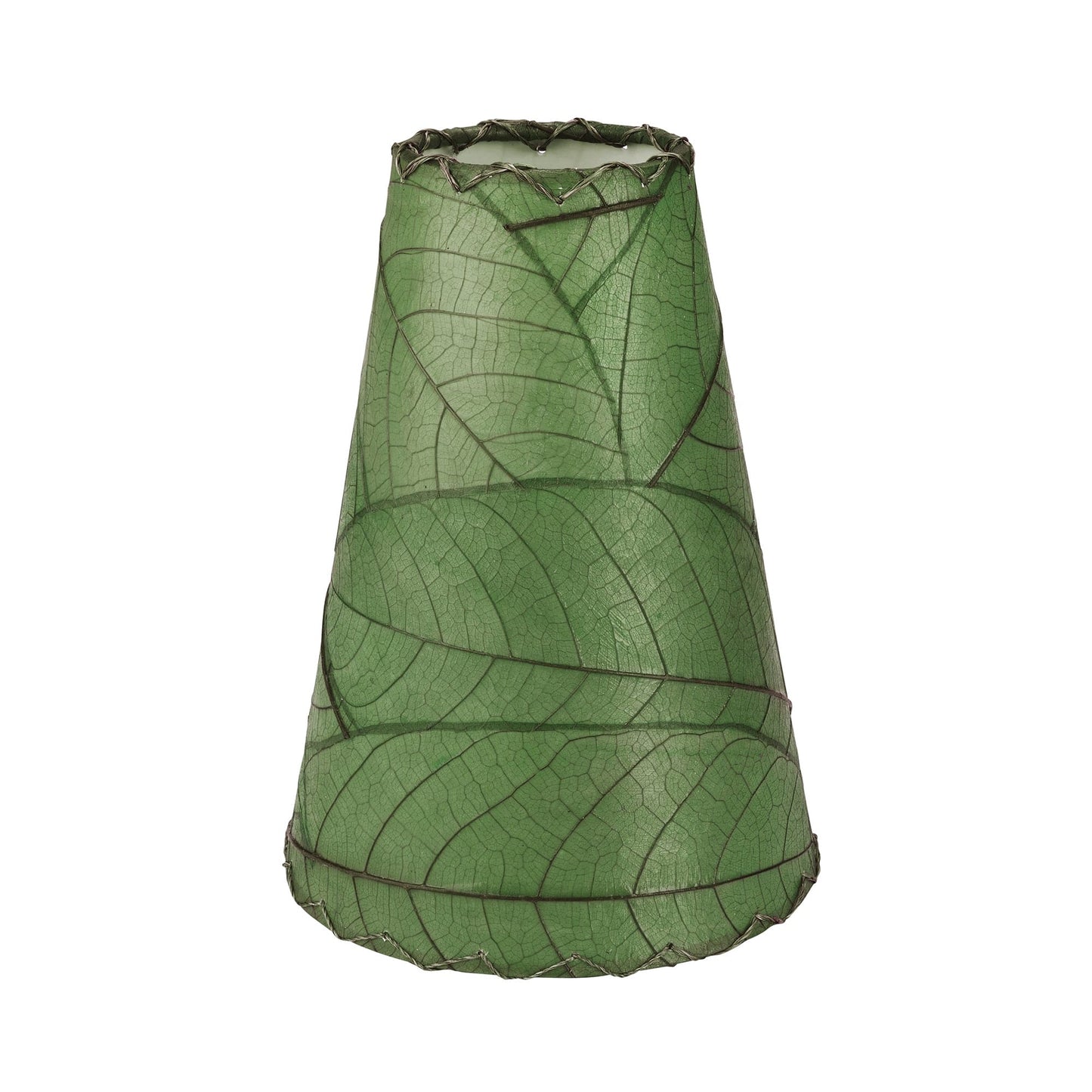 Gecko Wall Lamp