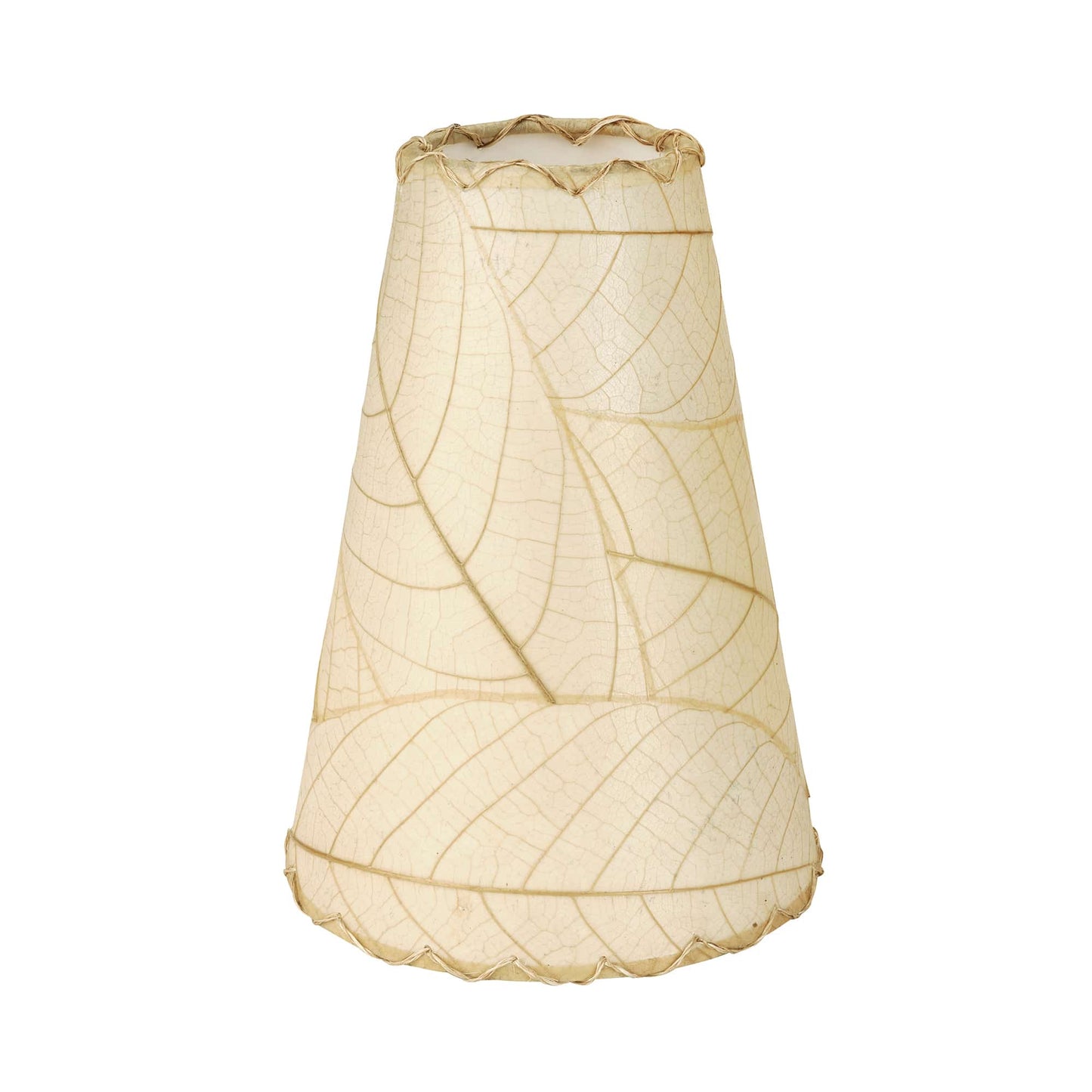 Gecko Wall Lamp