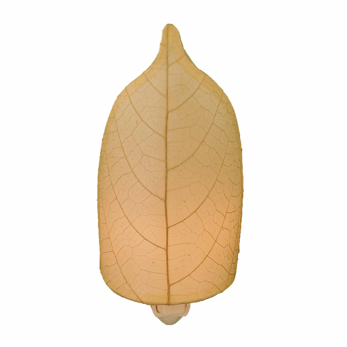 Leaf Night Lights