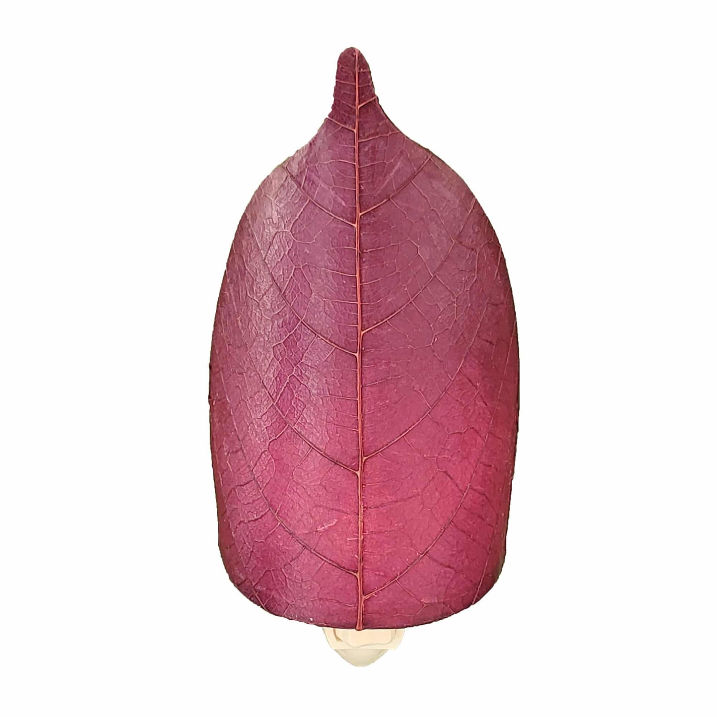 Leaf Night Lights