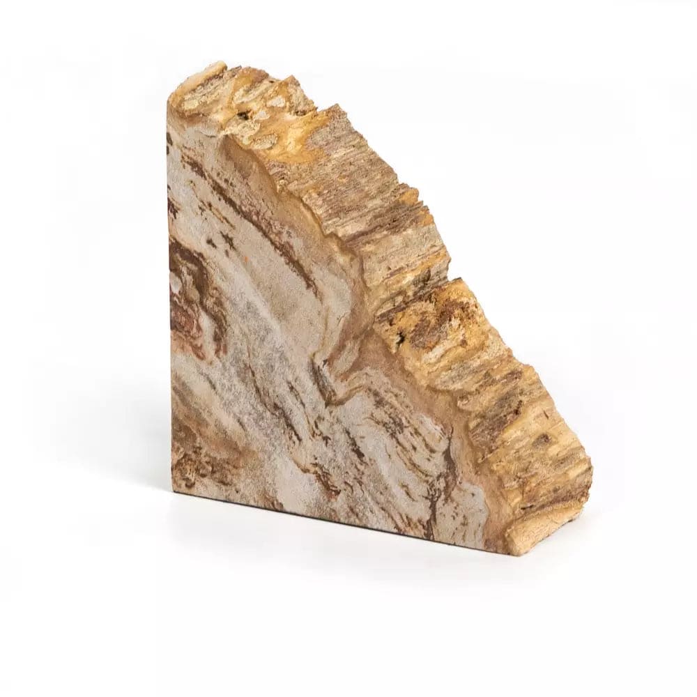 Petrified Wood Book Ends