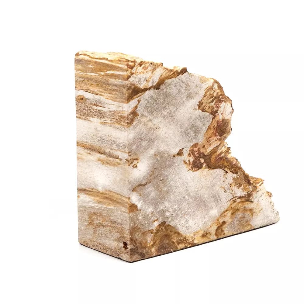 Petrified Wood Book Ends