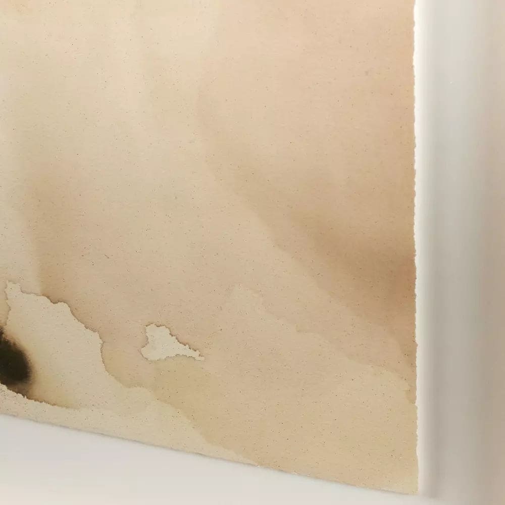 Stone's Throw by Molly Franken