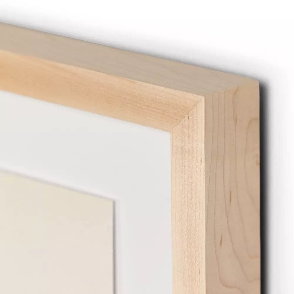 New Day by Kelly Colchin