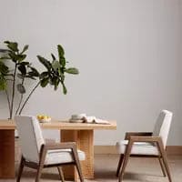 Aresa Dining Chair