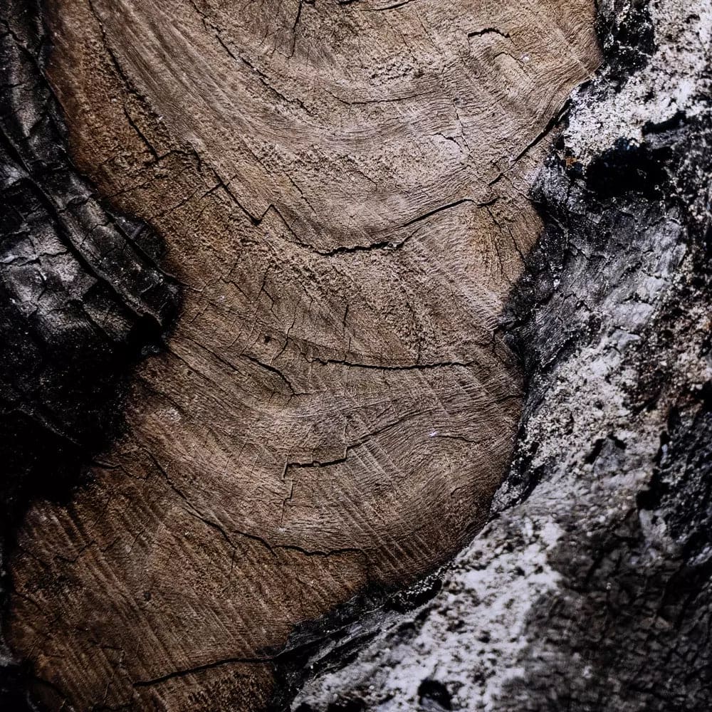 Char VI by FH Art Studio