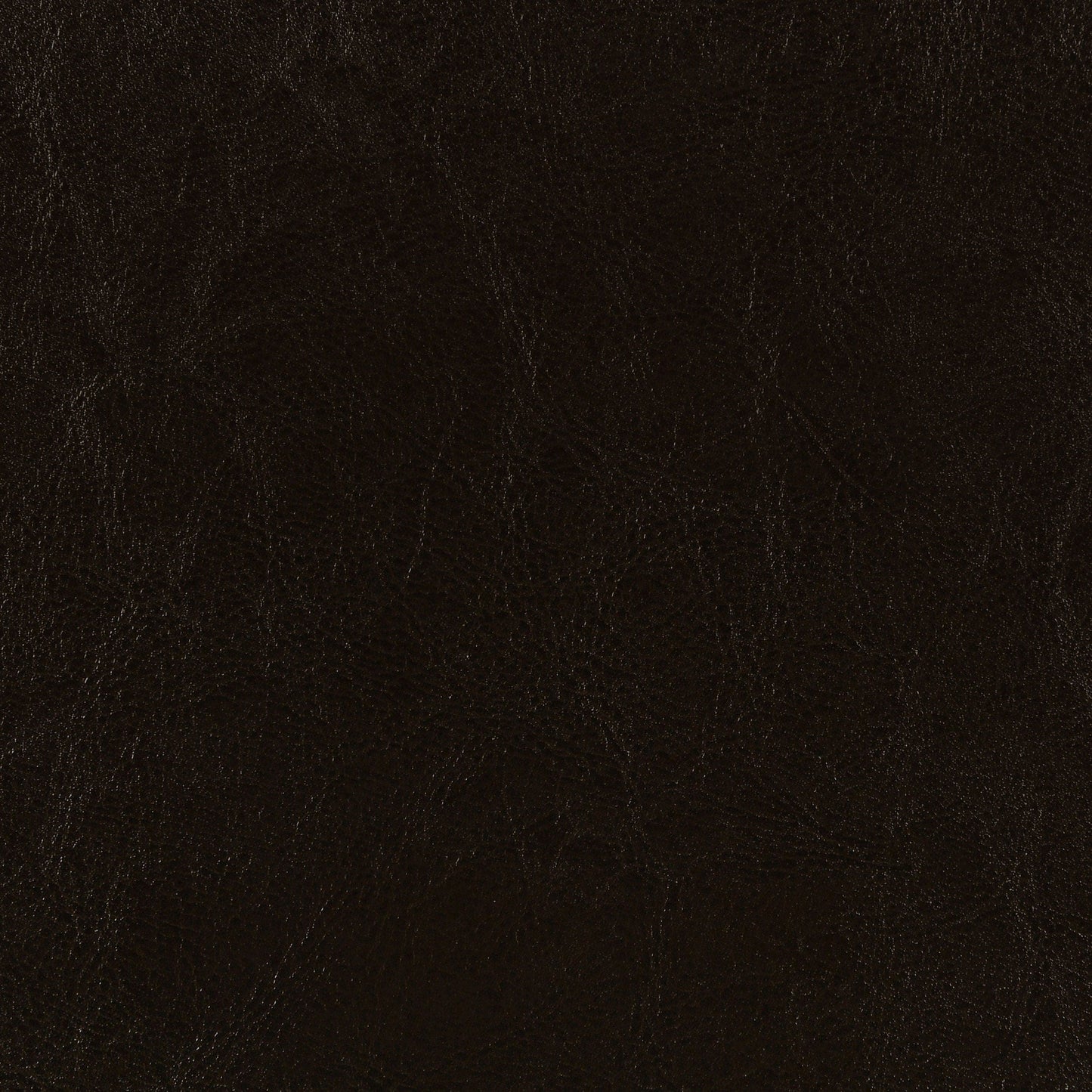 Dorian Faux Leather Upholstered Twin Panel Bed Brown