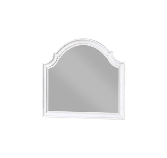 PALMETTO HOME - SONOMA LANDSCAPE MIRROR