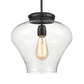 AMORE 12'' WIDE 1-LIGHT PENDANT  -  FREE SHIPPING !!!