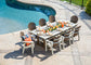 Finch - Great Bay Dining Chair