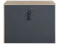 Universal - Sable & Desert-Modern Desert Dune Chest