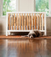 Everything Cool Baby - Branch Convertible Crib