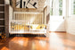 True Toddler Conversion Kit