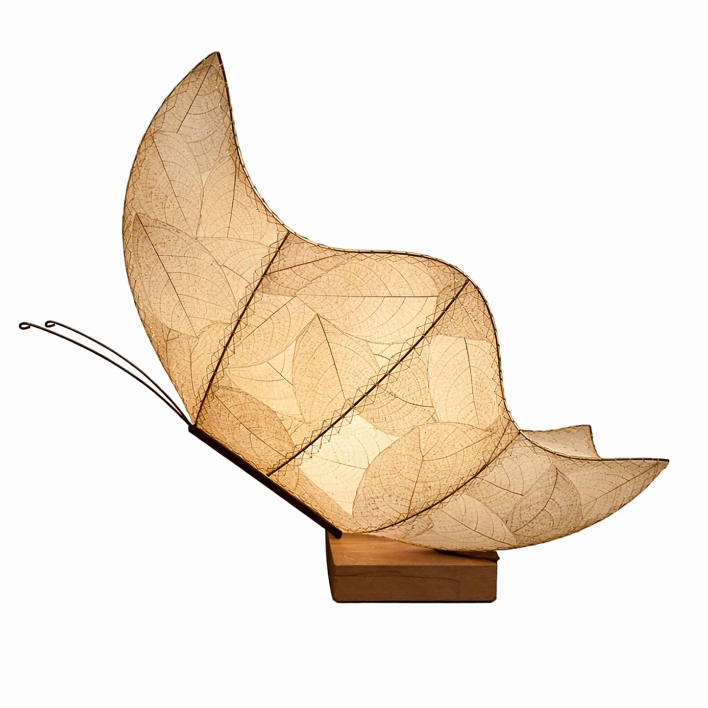 Butterfly Large Table Lamp