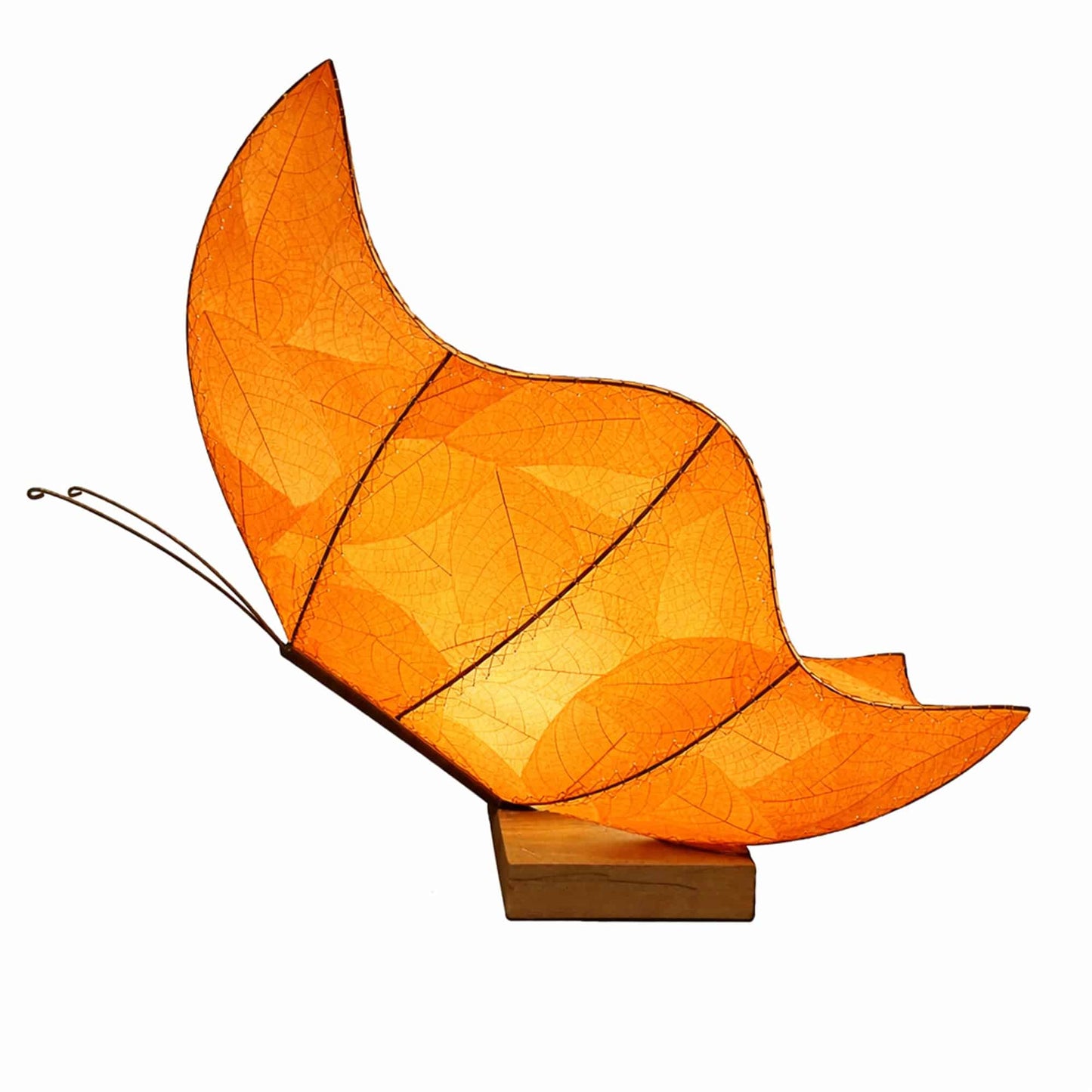Butterfly Large Table Lamp