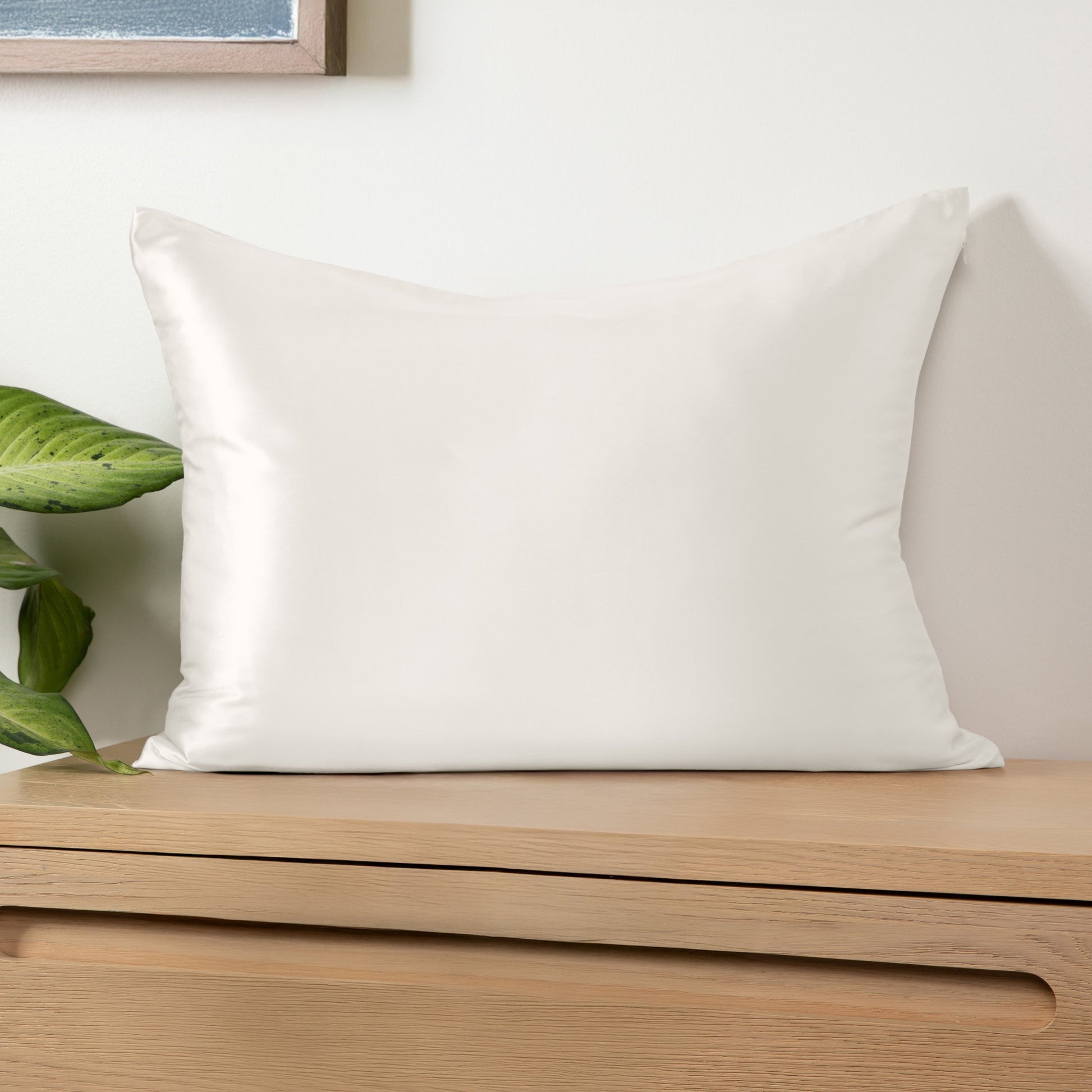 100% Mulberry Silk Pillowcase