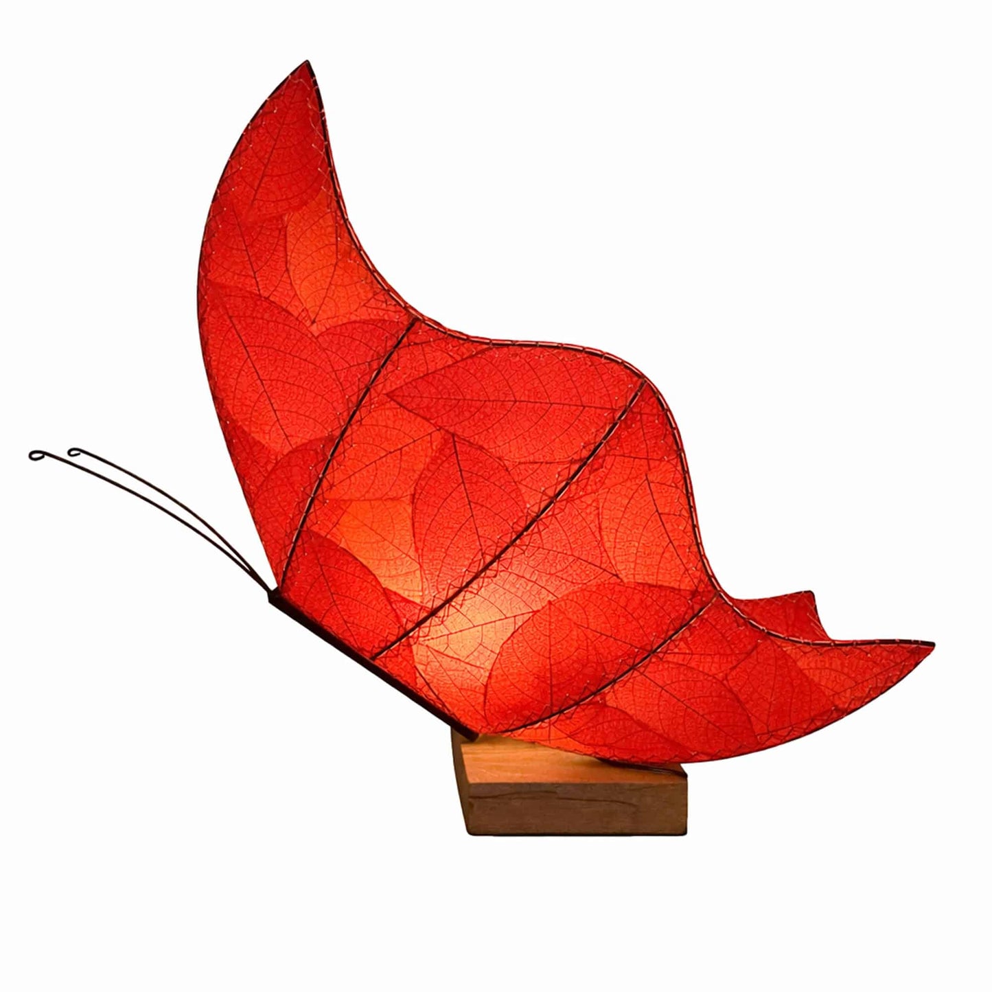 Butterfly Large Table Lamp