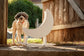 Branch Crescent Moon Rocker
