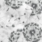 Make a Wish 4-Piece Patterned Sheet Set