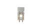 Pagosa - Upholstered Counter Stool (Set of 2)
