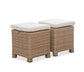 PARKS: Outdoor Living - Biscayne Stool (Set of 2)