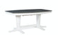 Cosmopolitan - Milano Double Pedestal Extension Table in Heather Gray & White