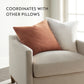 Stone Washed & Distressed Cotton Decor Throw Pillow Cover