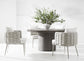 Bernhardt Santa Cruz Outdoor Arm Chair — X02545X