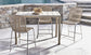 Bernhardt Carmel Outdoor Counter Stool — X03583