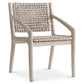 Bernhardt Atlas Outdoor Arm Chair — X09544