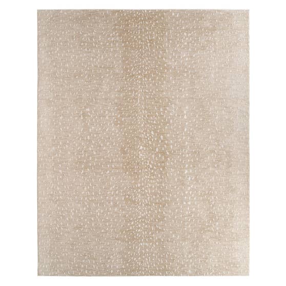 Jaipur Living Paro PVY05 Serene rug