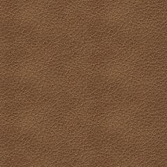 Bolsena  Sofa Sleeper