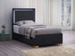 Marceline Wood Twin LED Panel Bed Black