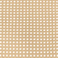 Lanewood Open Cane Webbing Metal Eastern King Bed White