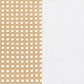 Lanewood Open Cane Webbing Metal Eastern King Bed White