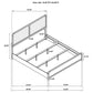Cavelle 51-inch Upholstered Eastern King Bed Black
