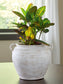 Ashley Express - Meadie Vase