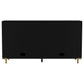 Arini 2-drawer Cane Door Dining Sideboard Server Black