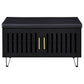 Brixton 2-door Padded Entryway Shoe Storage Bench Black