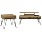Fanning 2-piece Lift Top Coffee and End Table Set Golden Oak