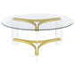 Janessa 2-piece Acrylic Coffee and End Table Set Matte Brass